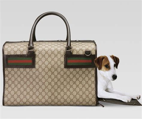 gucci dog carrier bag.